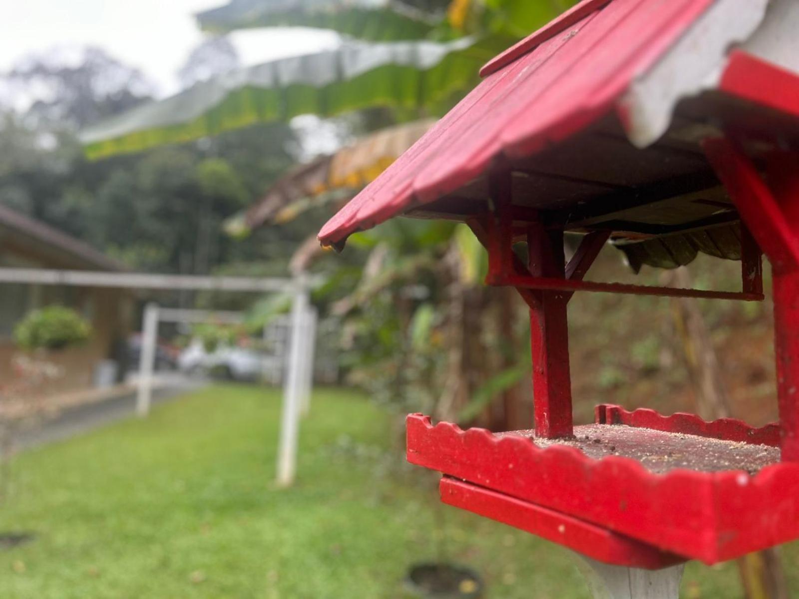Bela Vista Hospedagem Joinville Exteriér fotografie